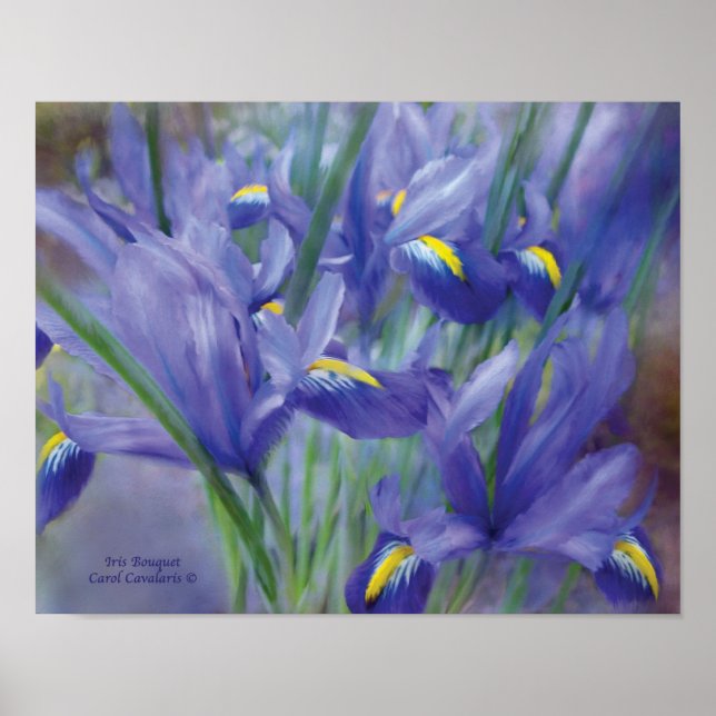 Pôster Iris Bouquet Art Poster/Print (Frente)