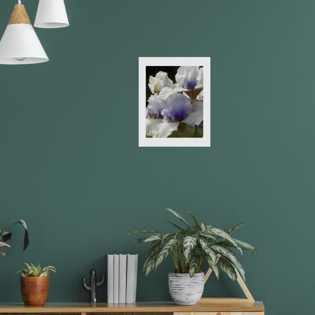 Poster Iris Branca e Roxa Floral em Flor (Sala de Estar 1)
