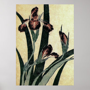 Poster Íris de Katsushika Hokusai (detalhe)