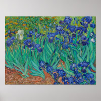Íris de Van Gogh