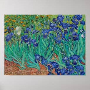 Poster Íris de Van Gogh