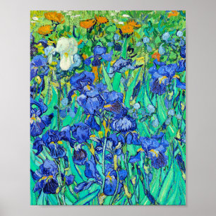 Poster Íris de Van Gogh