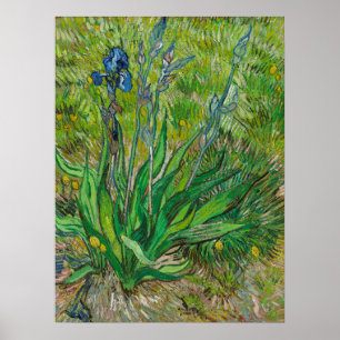 Poster Íris de Van Gogh - Arte Floral Azul Clássica