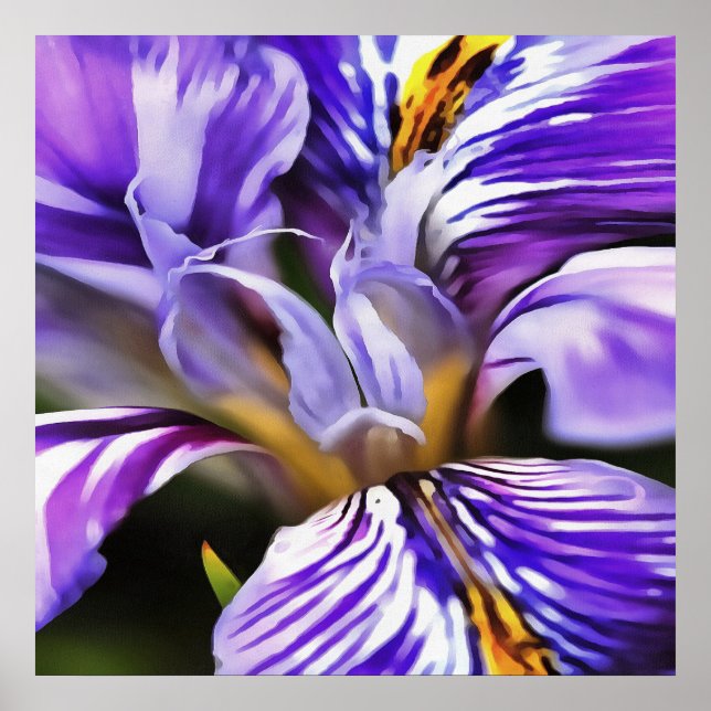 Pôster Íris em Lilac Violeta e Arte Botânica Púrpura (Frente)