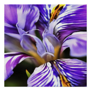 Pôster Íris em Lilac Violeta e Arte Botânica Roxa
