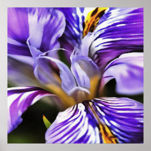 Pôster Íris em Lilac Violeta e Arte Botânica Roxa