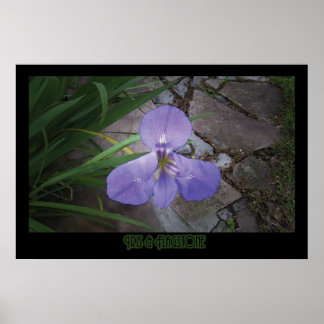 Poster "Iris & Flagstone" - Print