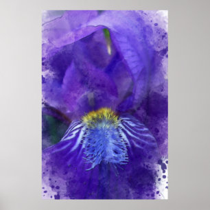 Poster Iris Flor Puro Watercolor