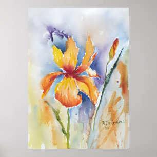 Poster Iris Flower