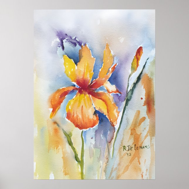 Poster Iris Flower (Frente)