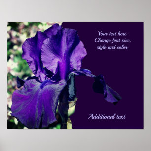 Poster Iris Flower Adicionar seu texto personalizado