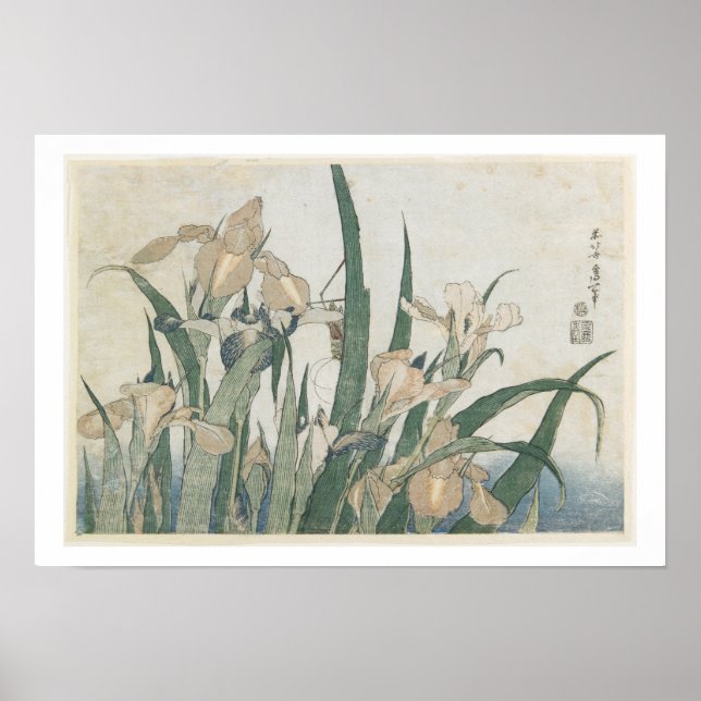 Poster Iris Flowers and Grafopper, c.1830-31 (Frente)