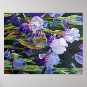 Pôster Iris Garden, da Lisa