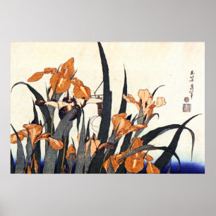 Poster Íris, Katsushika Hokusai