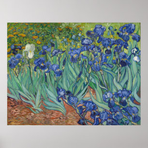 Pôster Íris por Vincent van Gogh