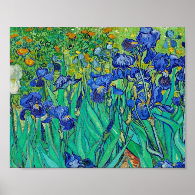 Poster Íris por Vincent Van Gogh (Frente)