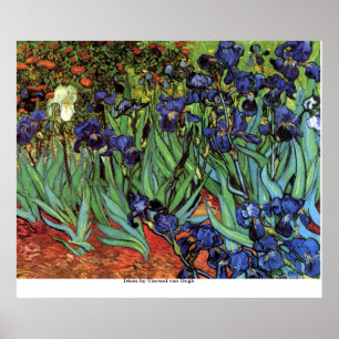 Poster Íris por Vincent van Gogh