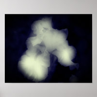 Íris preto e branco alto contraste