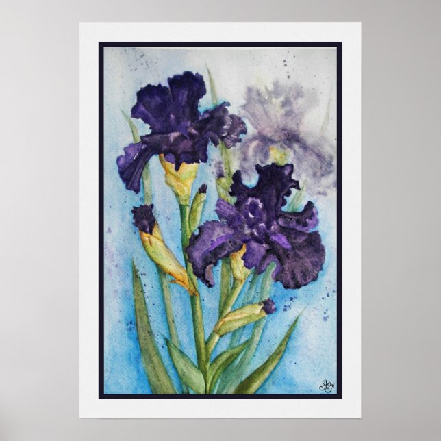 Poster Íris Roxa da Primavera (Frente)