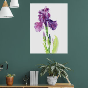 Poster Íris Roxa em Aquarela Leve