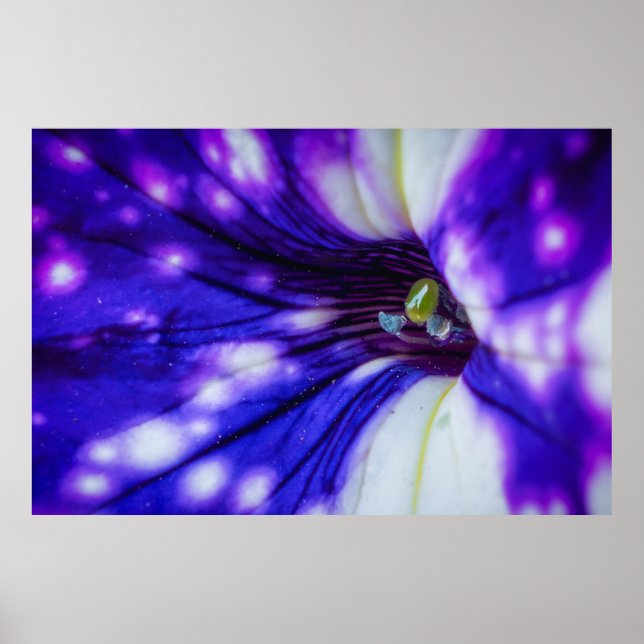 Poster Íris Roxa Macro – Arte Floral Vibrante em Close-Up (Frente)