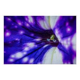 Pôster Íris Roxa Macro – Arte Floral Vibrante em Close-Up