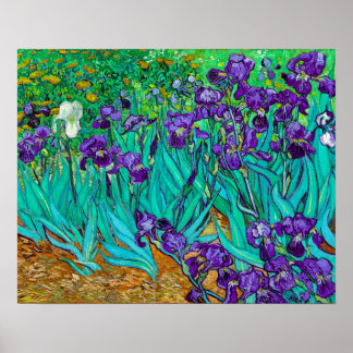 Poster Íris, Vincent van Gogh