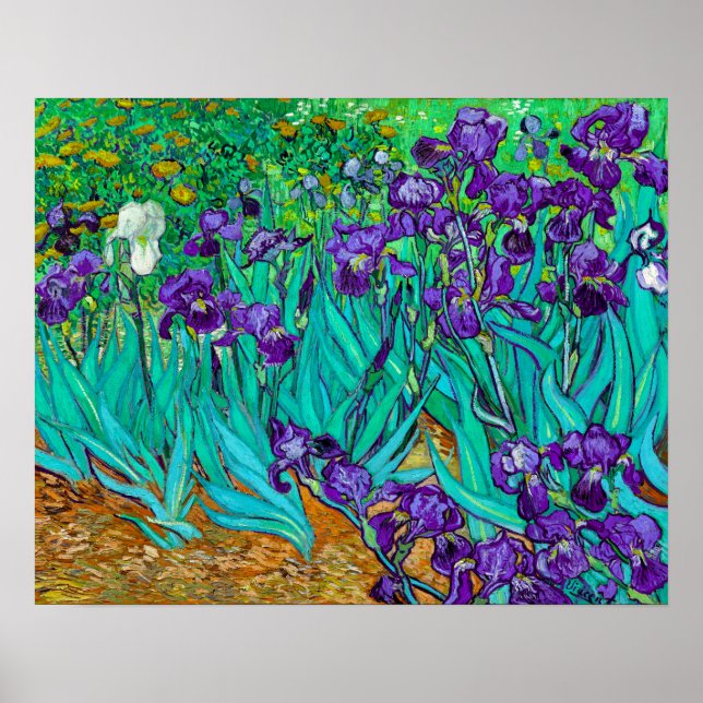 Poster Íris, Vincent van Gogh (Frente)