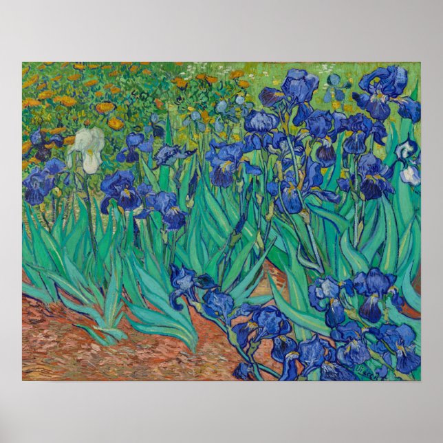 Poster Irises by Vincent Van Gogh (Frente)