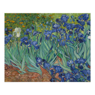 Pôster Irises, Floral Oil Painting, Vincent Van Gogh