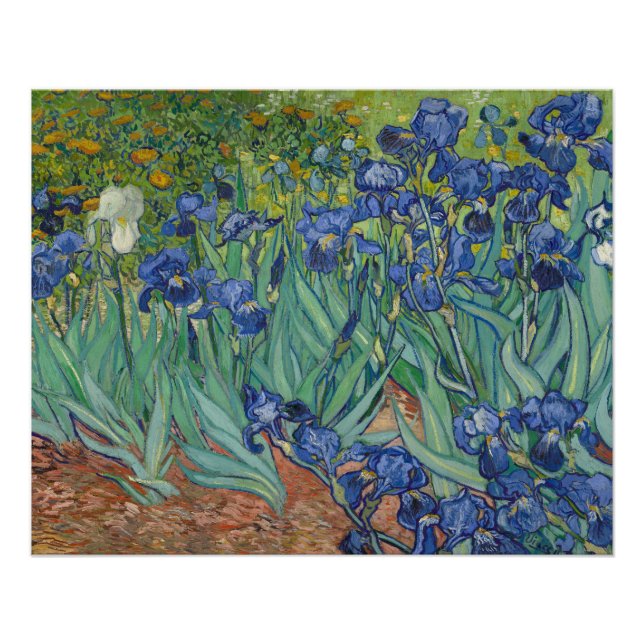 Pôster Irises, Floral Oil Painting, Vincent Van Gogh (Frente)