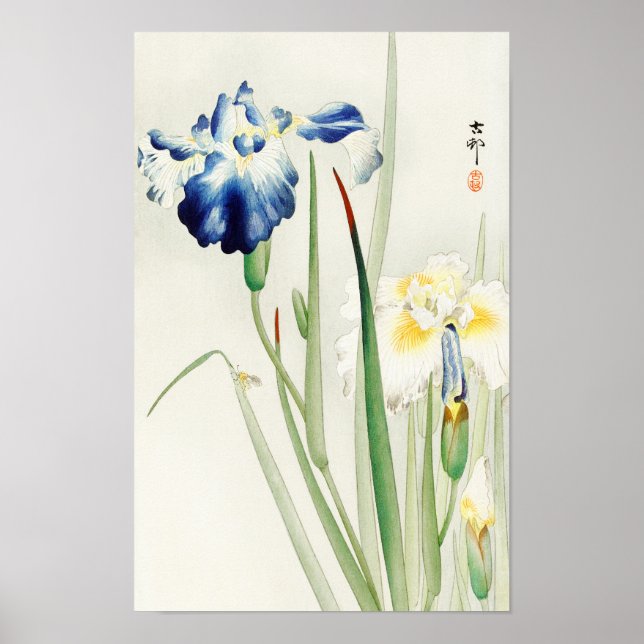 Poster Írises por Ohara Koson (Frente)