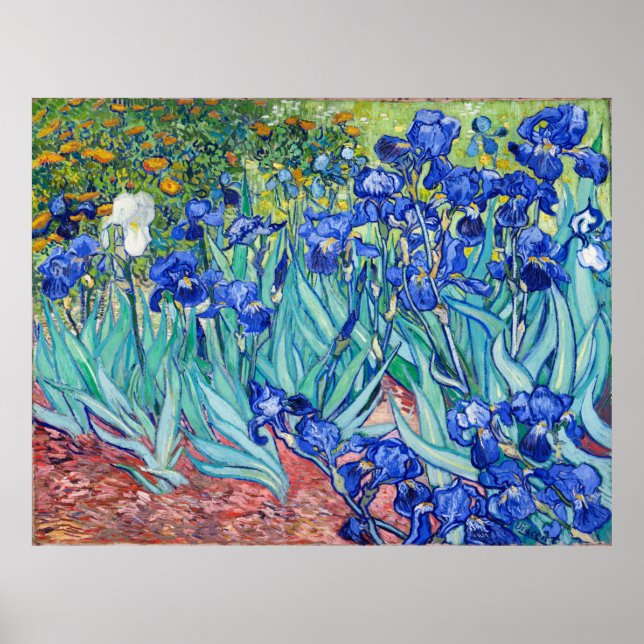 Poster Irises Vincent van Gogh (Frente)