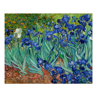 Pôster Irises Vincent van Gogh Floral Vintage Painting