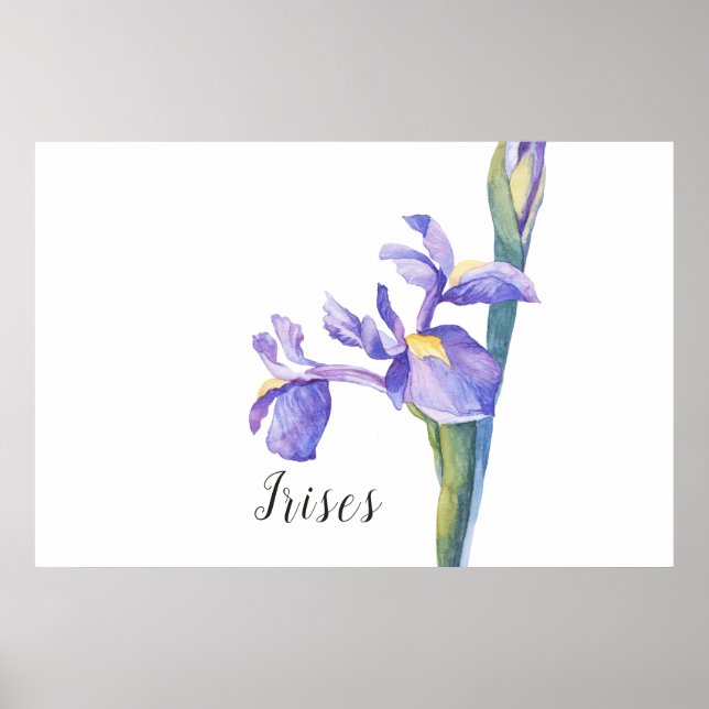 Poster Irises Watercolor Floral (Frente)