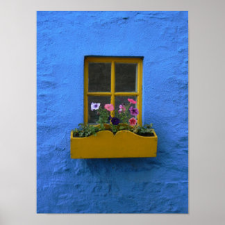 Pôster Irish Cottage Windowbox