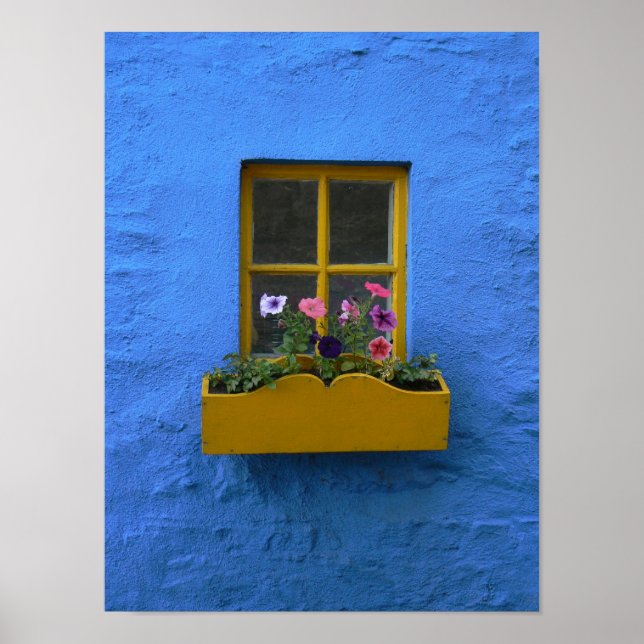 Pôster Irish Cottage Windowbox (Frente)