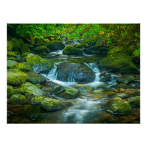 Irish Forest Stream – Emerald Woodland Photo Print