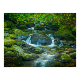 Pôster Irish Forest Stream – Emerald Woodland Photo Print