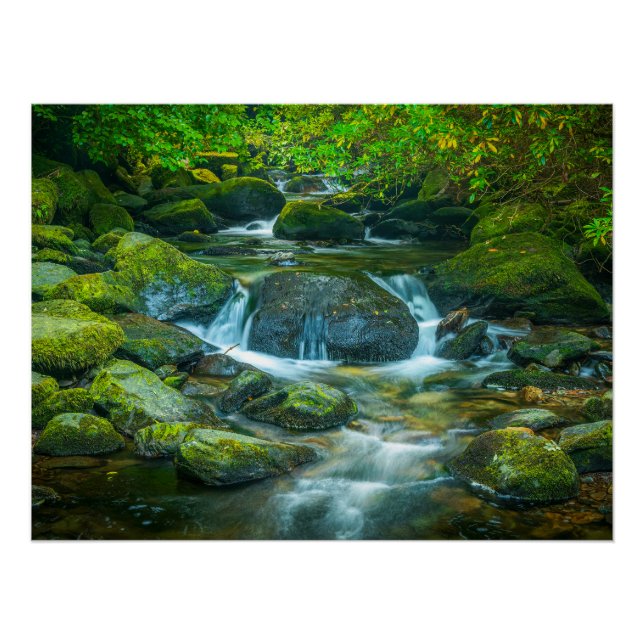 Pôster Irish Forest Stream – Emerald Woodland Photo Print (Frente)