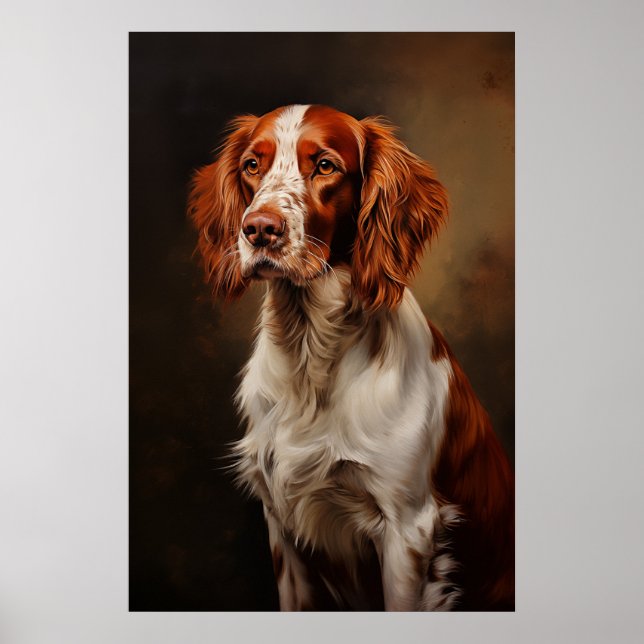 Poster Irish Red and White Setter (Frente)