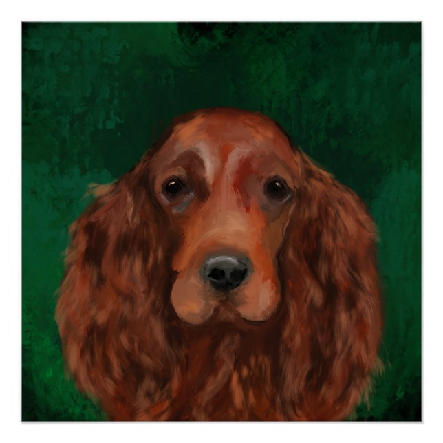 Pôster Irish Red Setter (Frente)