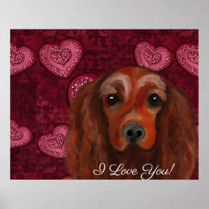 Poster Irish Red Setter