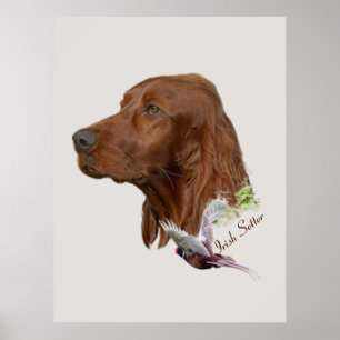 Poster Irish Setter