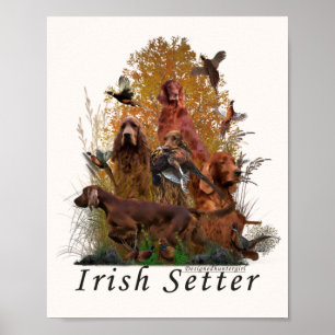 Poster Irish Setter