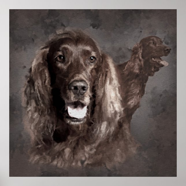 Poster Irish Setter Dogs Digital Art (Frente)