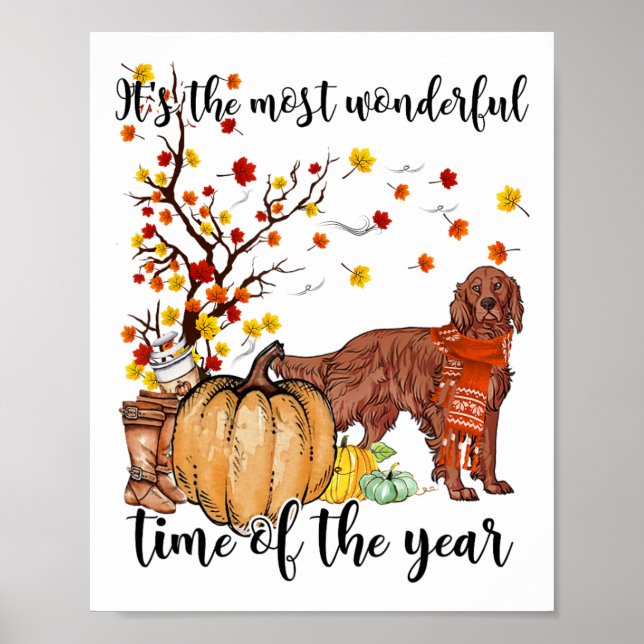Poster Irish Setter Fall Pumpkins Autumn Leaf Tree (Frente)