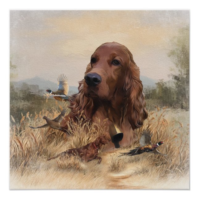 Pôster Irish Setter Hunting Pheasant ,Art (Frente)