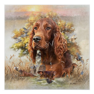 Pôster Irish Setter - Ultimate Upland Bird Dog