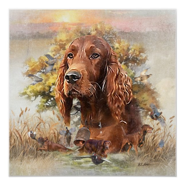 Pôster Irish Setter - Ultimate Upland Bird Dog (Frente)